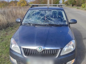 Авто Skoda Fabia 2010 № 8131847