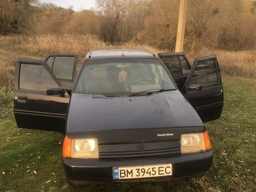 Авто ЗАЗ 1102 2005 № 8146154