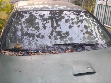 Авто Ford Taurus 1995 № 8148214