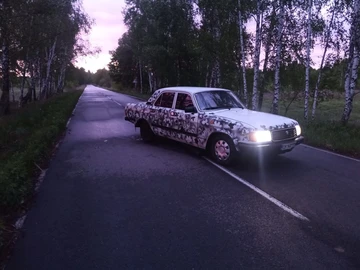 Авто ГАЗ 31029 1993 № 8157929