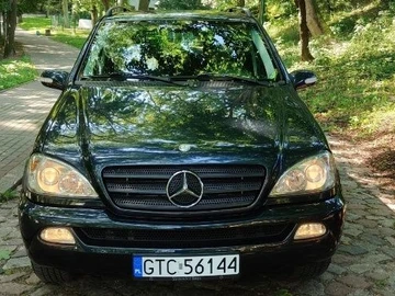 Авто Mercedes Ml Серия 2002 № 8164684