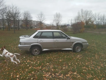 Авто ВАЗ 21099 2002 № 8167604