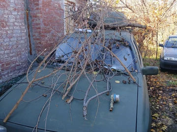 Авто Ford Canyon 1995 № 8175152