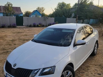 Авто Skoda Octavia 2019 № 8177466