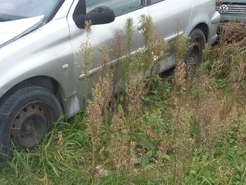 Авто Peugeot 206 2003 № 8178393