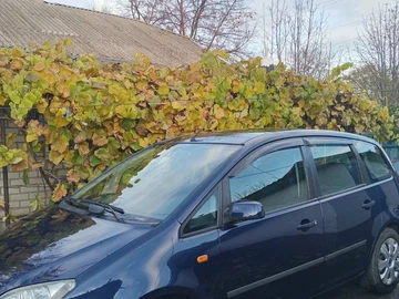 Авто Ford Focus 2003 № 8183488