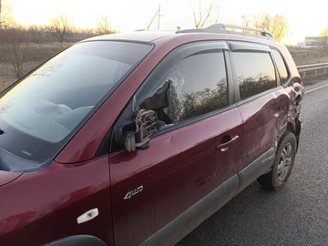 Авто Hyundai Tucson 2008 № 8184686