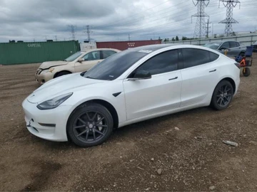 Авто Tesla Model 3 2019 № 8186075
