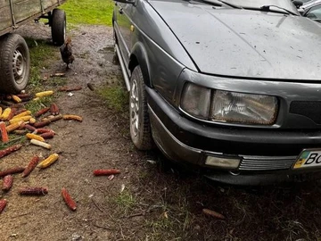 Авто Volkswagen Passat Variant 1990 № 8191674