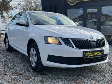 Авто Skoda Octavia 2019 № 8193240
