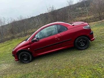 Авто Peugeot 206 2004 № 8195131
