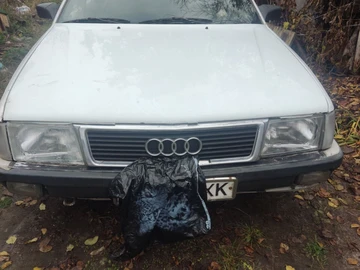 Авто Audi 100 1983 № 8195591