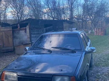 Авто ВАЗ 21099 2006 № 8196305