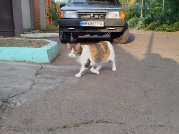 Авто ВАЗ 21099 2008 № 8198406