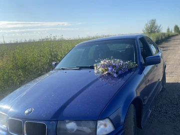 Авто BMW 3 Серия 1995 № 8203612
