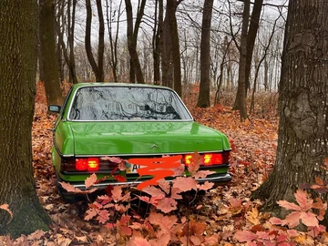 Авто Mercedes E Серия 1980 № 8217784