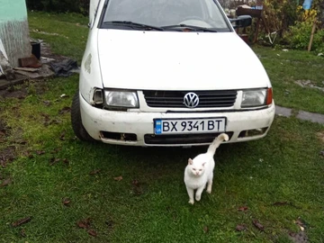 Авто Volkswagen Caddy 1993 № 8218789