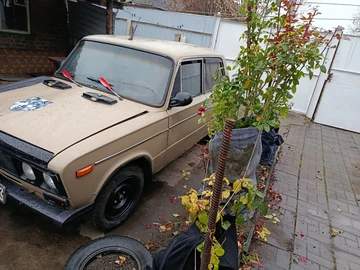 Авто ВАЗ 2106 1983 № 8220656
