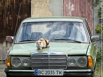 Авто Mercedes W123 1972 № 8223956