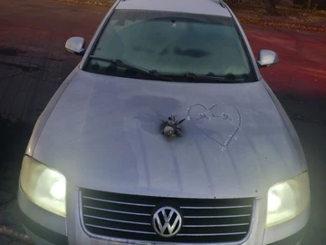 Авто Volkswagen Passat Variant 2004 № 8224499