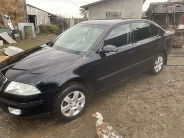 Авто Skoda Octavia 2006 № 8228231
