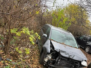 Авто Volkswagen Tiguan 2010 № 8229241