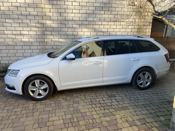 Авто Skoda Octavia 2018 № 8234583