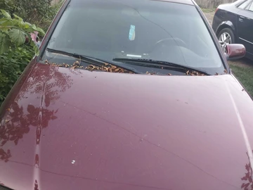 Авто Audi A5 2000 № 8243388