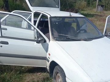 Авто Citroen Zx 1993 № 8249923
