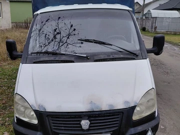 Авто ГАЗ 2818 Газель 2010 № 8255796