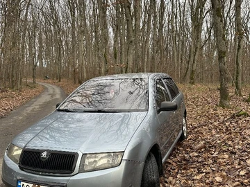 Авто Skoda Fabia 2003 № 8259308