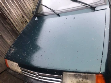 Авто ВАЗ 21099 2000 № 8259994