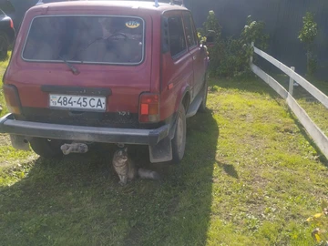 Авто ВАЗ 2121 1985 № 8263296