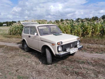 Авто ВАЗ 2110 1982 № 8263881