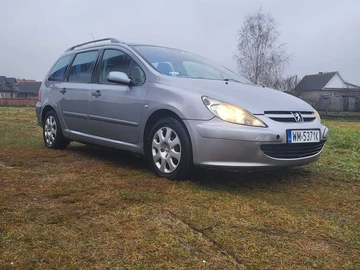 Авто Peugeot 307 2004 № 8268006