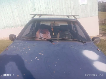 Авто ВАЗ 21099 1999 № 8271174