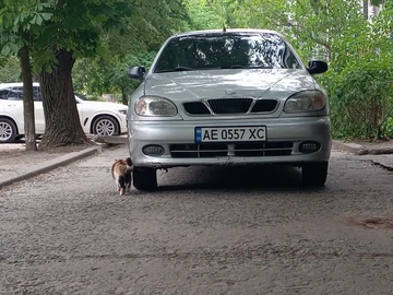 Авто Daewoo Lanos Sens  2007 № 8273593