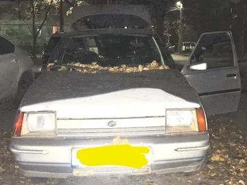 Авто ЗАЗ 1103 Slavuta 2004 № 8276160
