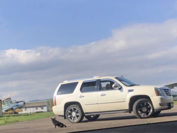 Авто Cadillac Escalade 2007 № 8276972