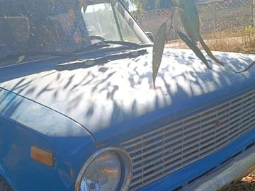 Авто ВАЗ 2101 1974 № 8279184