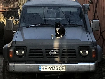Авто Nissan Patrol 1990 № 8280991