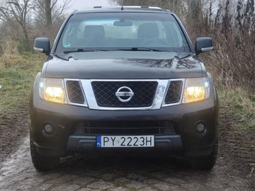 Авто Nissan Navara 2008 № 8284543
