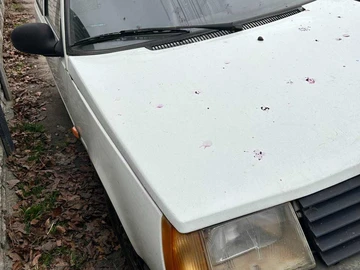 Авто ЗАЗ Таврия 1991 № 8289064