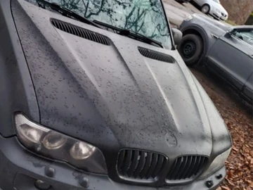 Авто BMW X5 2006 № 8290740