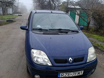 Авто Renault Scenic 2001 № 8294080