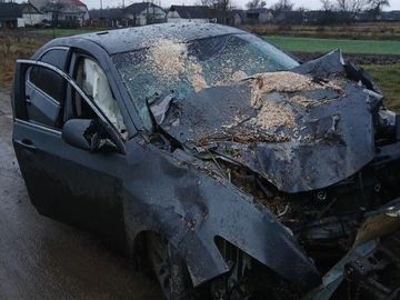 Авто Honda Accord 2008 № 8294347