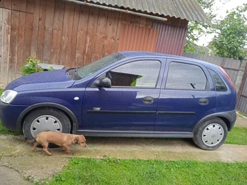 Авто Opel Corsa 2003 № 8296716