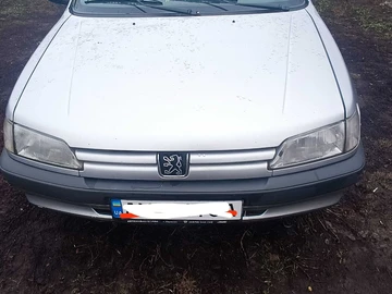 Авто Peugeot 306 1996 № 8300922