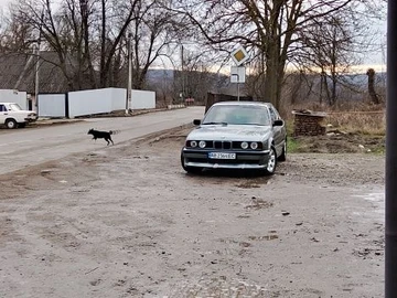 Авто BMW 5 Серия 1992 № 8303977