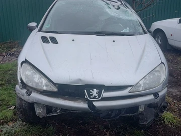 Авто Peugeot 206 2004 № 8313224